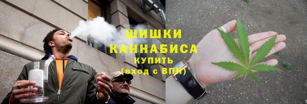 мдма Новозыбков