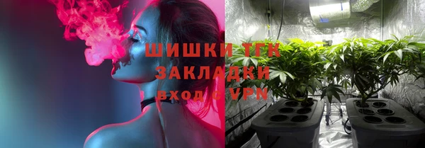 мдма Новозыбков