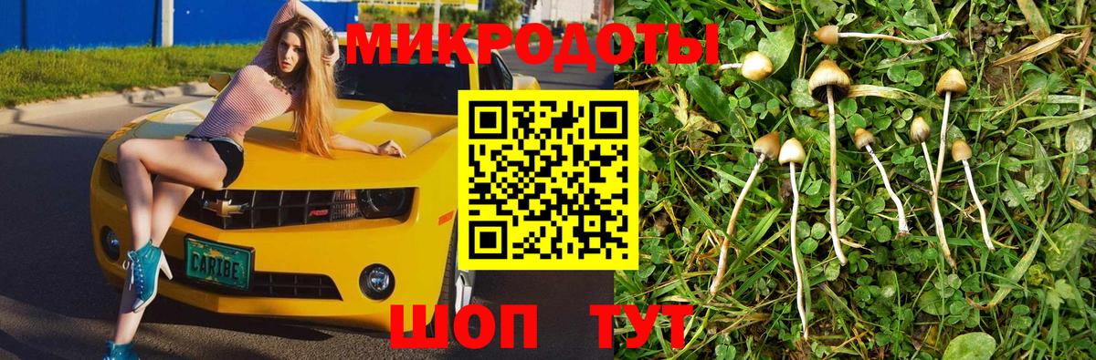 Галлюциногенные грибы Cubensis Ангарск