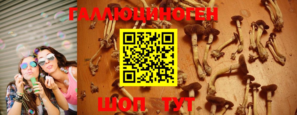 Галлюциногенные грибы Cubensis  Ангарск 