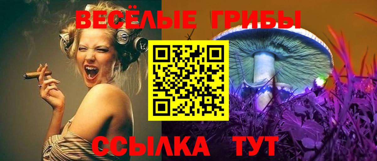 Ангарск  Псилоцибиновые грибы прущие грибы  Вход с VPN  Галлюциногенные грибы MAGIC MUSHROOMS 