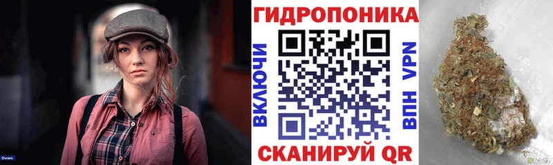 Конопля OG Kush где продают наркотики Ангарск